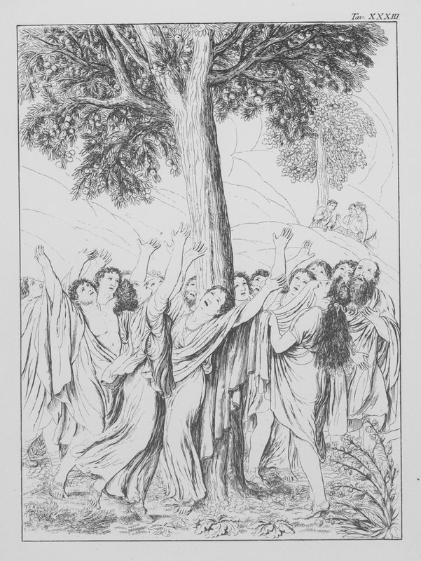 Dantes gudomliga komedi, Purgatorio (Skärselden), plansch XXXIII (litografi) av Bernhard Schuler