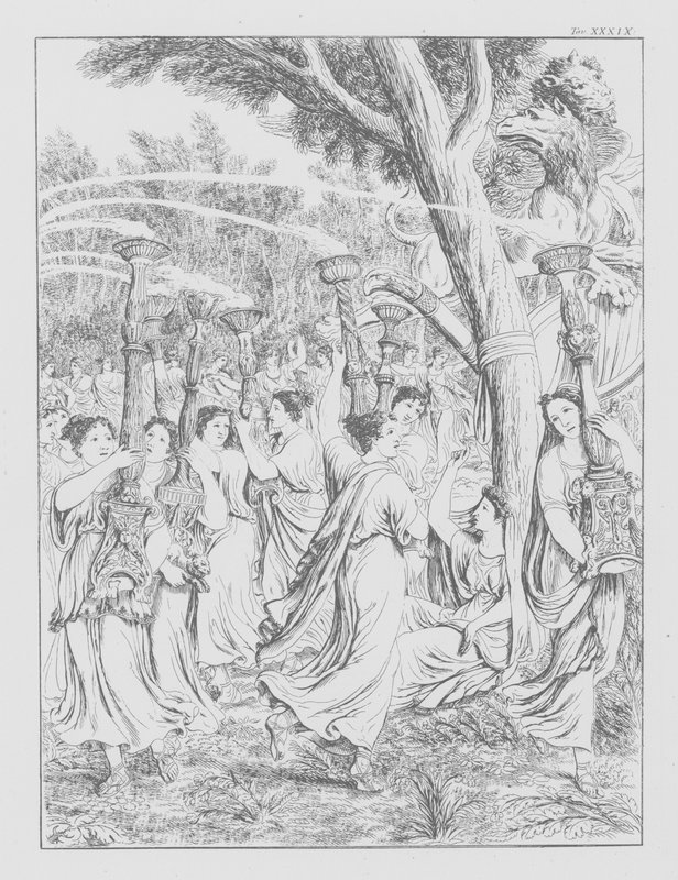 Dantes gudomliga komedi, Purgatorio (Skärselden), plansch XXXIX (litografi) av Bernhard Schuler