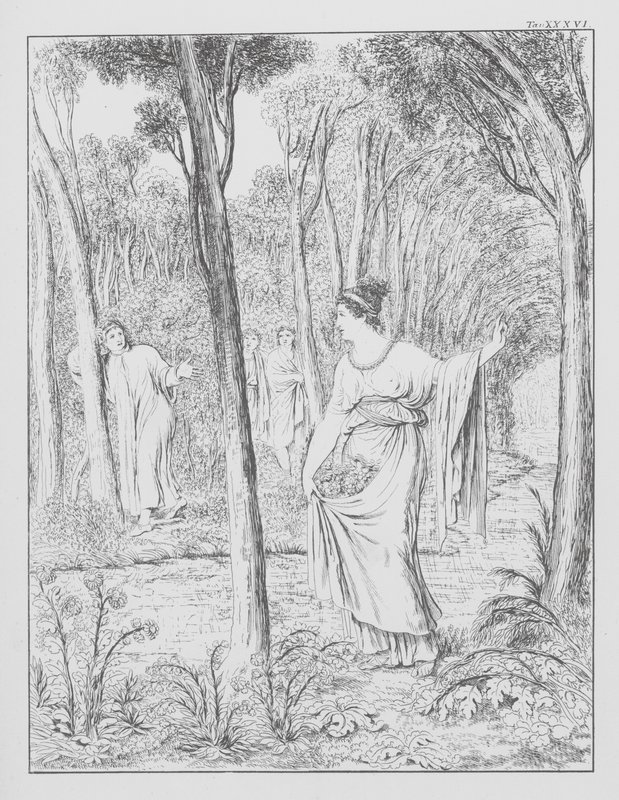 Dantes gudomliga komedi, Purgatorio (Skärselden), plansch XXXVI (litografi) av Bernhard Schuler