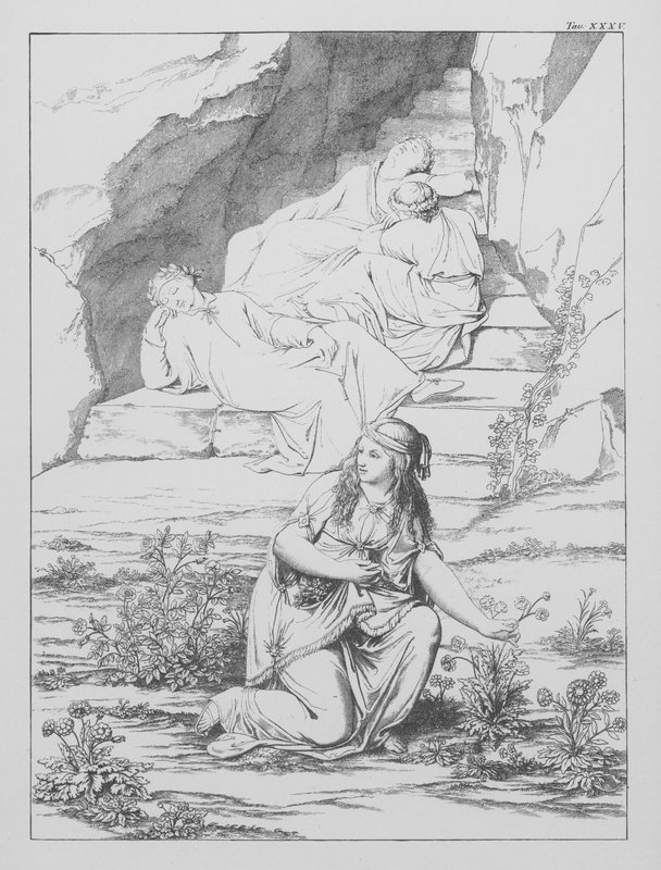 Dantes gudomliga komedi, Purgatorio (Skärselden), plansch XXXV (litografi) av Bernhard Schuler