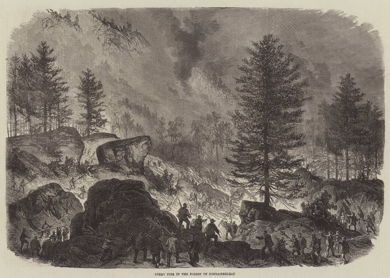 Great Fire in the Forest of Fontainebleau  av Burn Smeeton