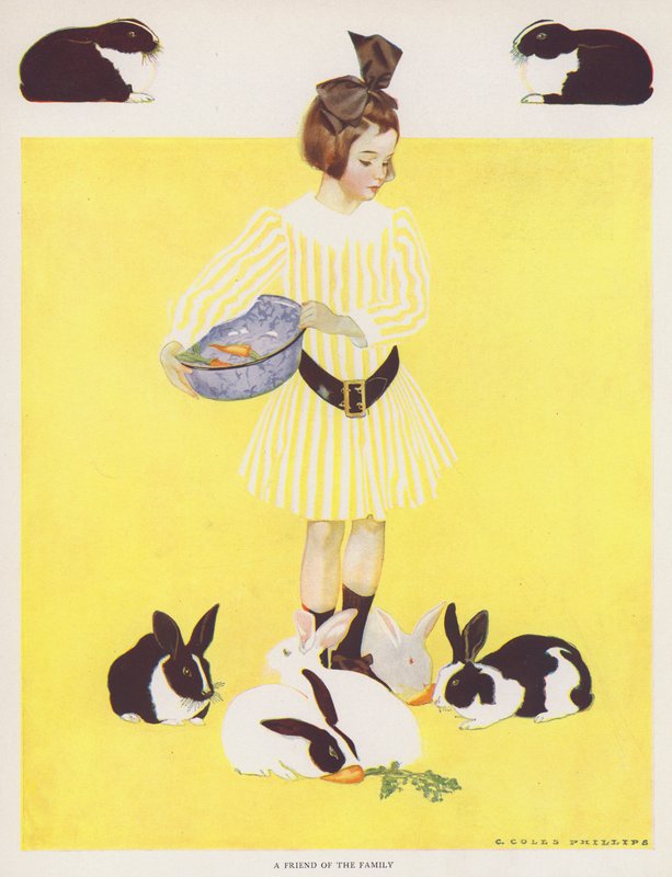 Coles Phillips Girl, en vän till familjen (färg litho) av C. Coles Phillips