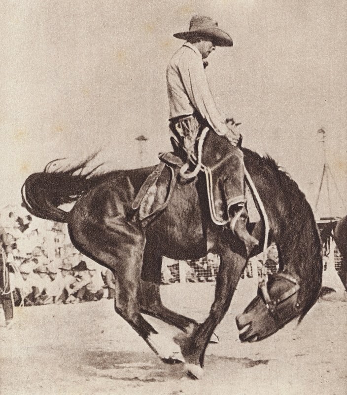 Cowboy rider på en bockande bronco (svartvitt foto) av Canadian Photographer