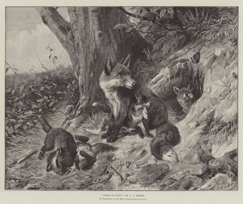Rävar på lek av Carl Friedrich Deiker
