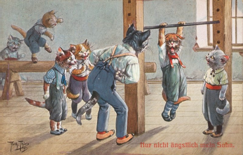 Vykort med humoristisk katt (färglitografi) av Carl Robert Arthur Thiele