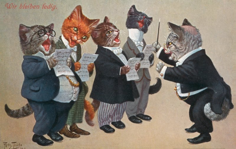 Vykort med humoristisk katt (färglitografi) av Carl Robert Arthur Thiele