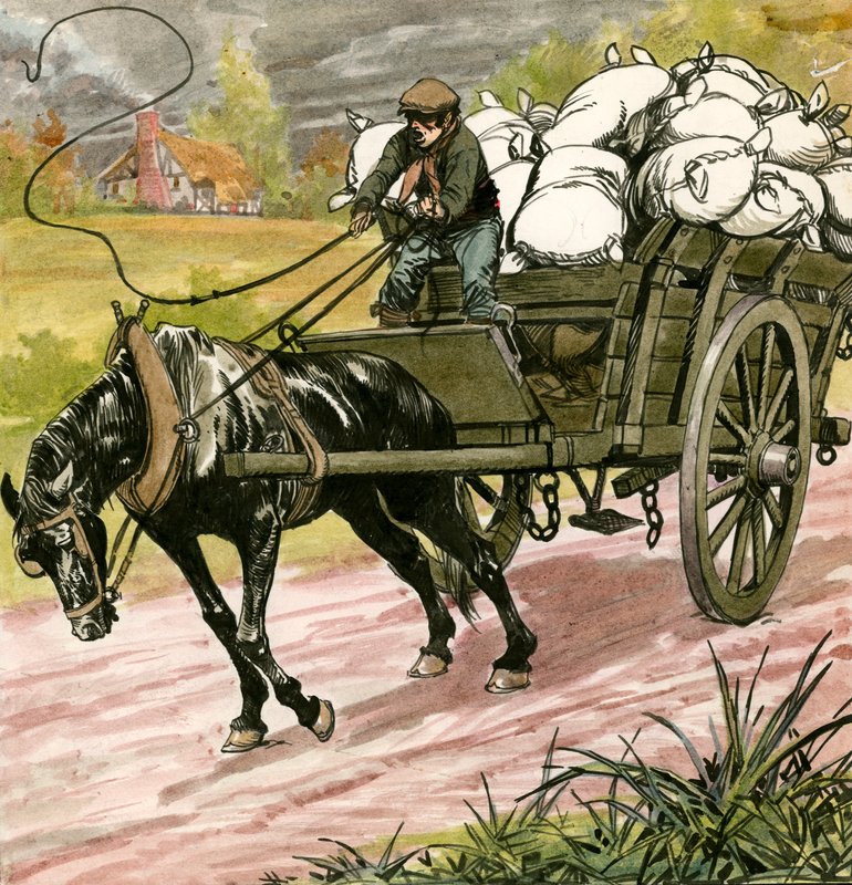 Svart skönhet av Carlos Gabriel Roume