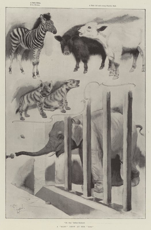 En Baby Show på Zoo av Cecil Charles Windsor Aldin