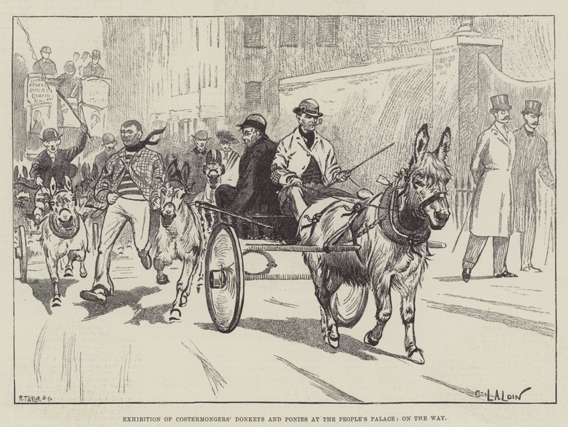 Utställning av kostymhandlarnas åsnor och ponnyer i Folkets palats, på vägen av Cecil Charles Windsor Aldin
