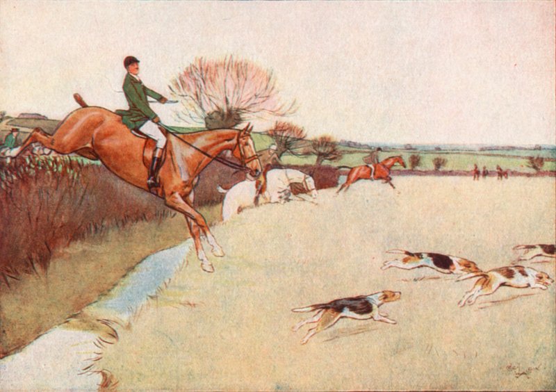 Hundarna kom rusande över fältet. . . Hästarna följer efter hundarna av Cecil Charles Windsor Aldin