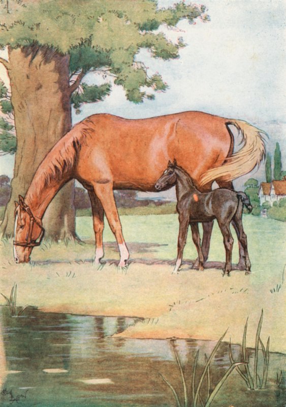 Den första platsen som jag minns var en stor, trevlig äng med en damm med klart vatten. av Cecil Charles Windsor Aldin