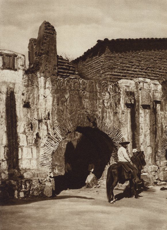 Mexiko: Oaxaca, Tuberia espanola (s/v foto) av Cecile Seler Sachs