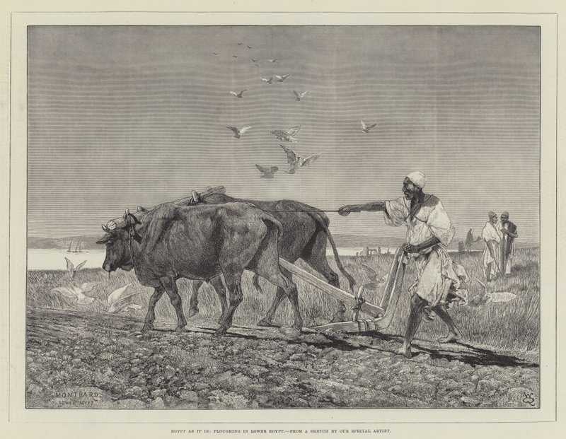 Egypten som det är, plöjer i Nedre Egypten av Charles Auguste Loye