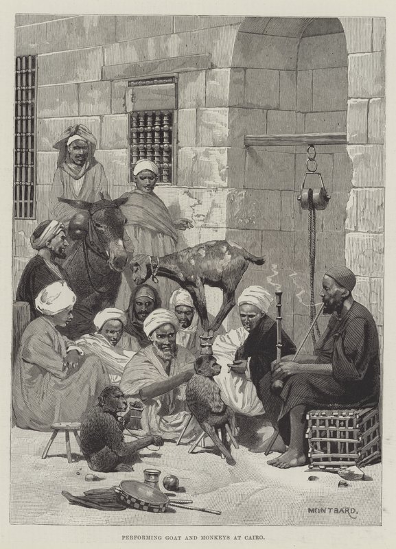 Utför Goat and Monkeys i Kairo av Charles Auguste Loye