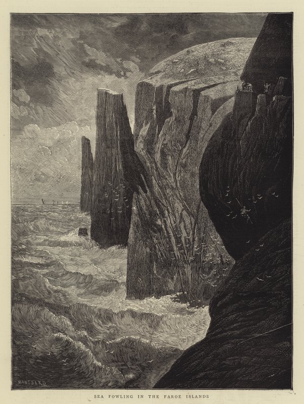Havsfågeljakt på Färöarna av Charles Auguste Loye