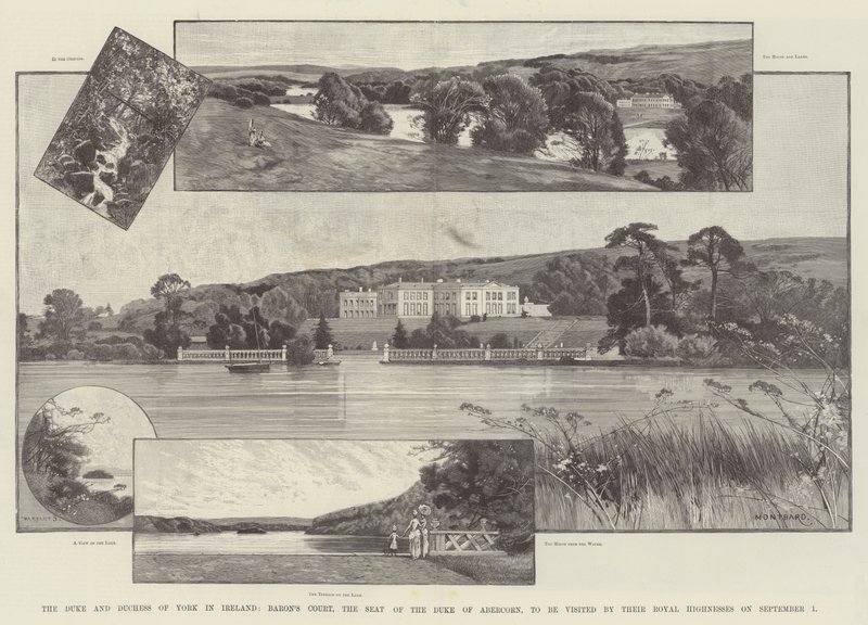 Hertigen och hertiginnan av York i Irland, Baron