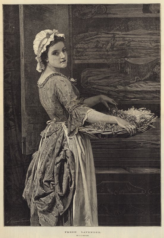 Färsk lavendel av Charles Edward Perugini