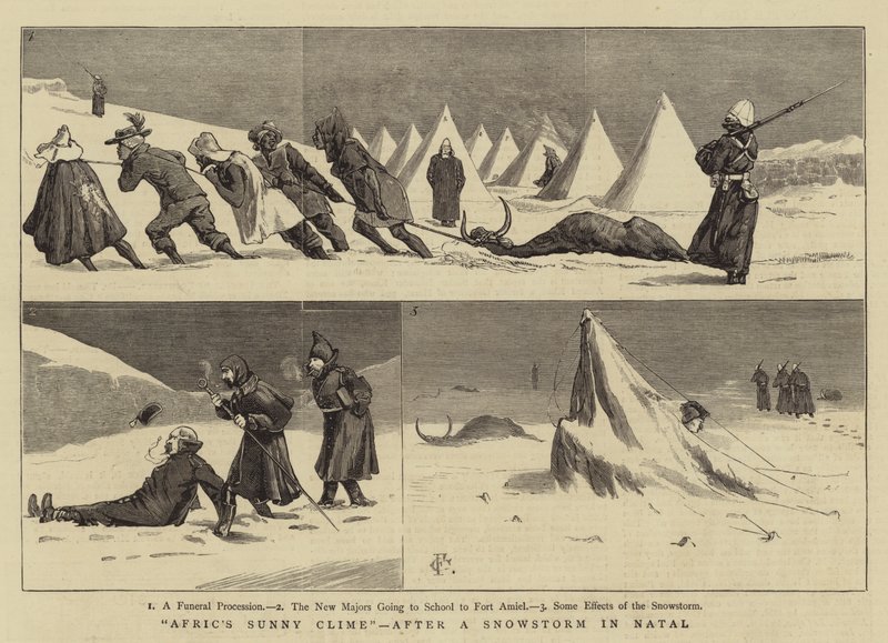 Afrikas soliga klimat, efter en snöstorm i Natal av Charles Edwin Fripp