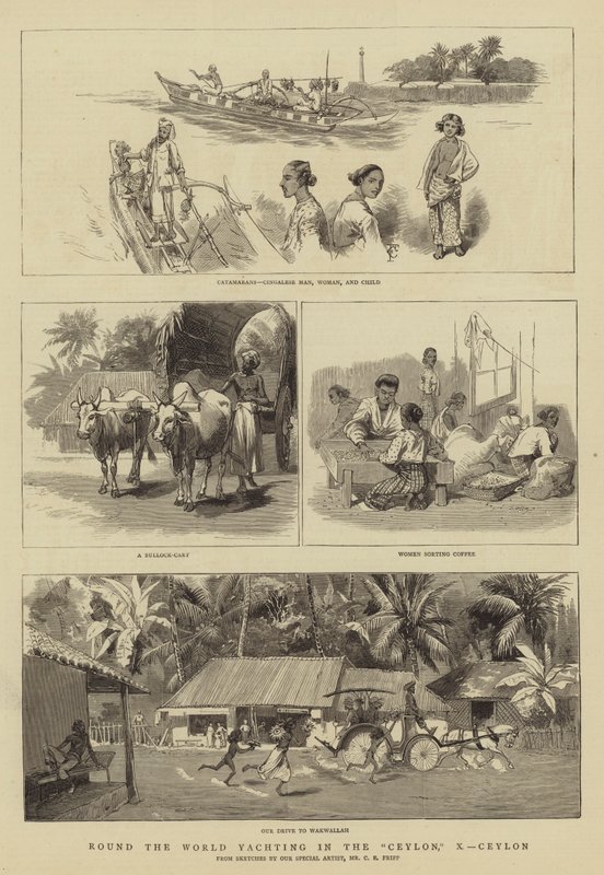Jorden runt Yachting i Ceylon, X, Ceylon av Charles Edwin Fripp