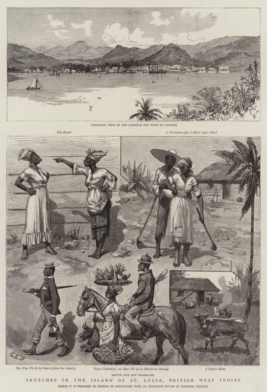 Skisser på ön St Lucia, Brittiska Västindien av Charles Edwin Fripp