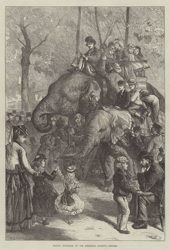 Måndag eftermiddag på Zoologiska föreningens trädgårdar av Charles J. Staniland