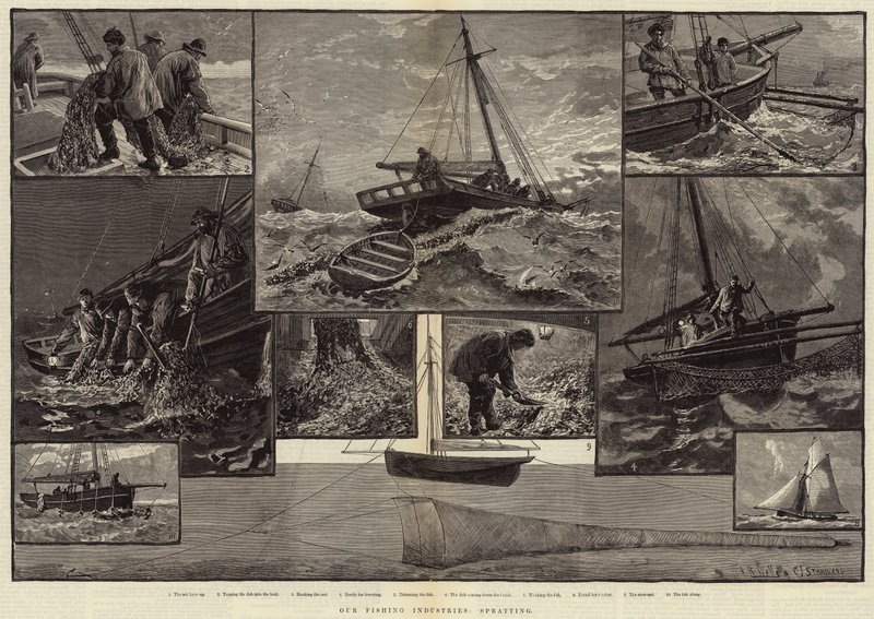Våra fiskeindustrier, spridning av Charles J. Staniland
