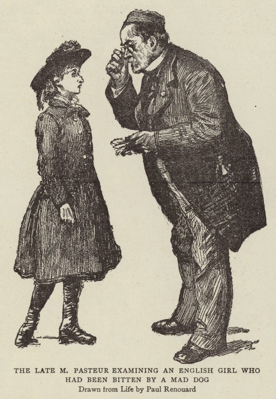 Den avlidne M. Pasteur undersökte en engelsk flicka som hade blivit biten av en galen hund. av Charles Paul Renouard