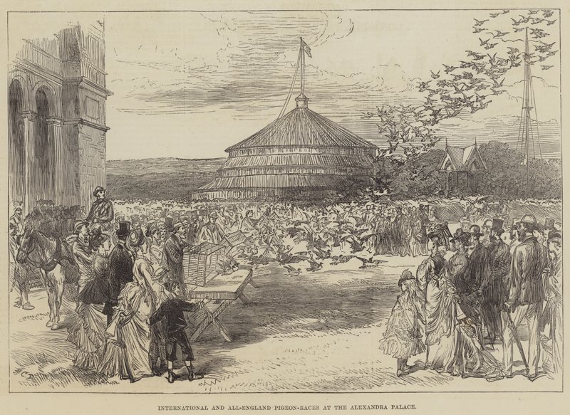 Internationella och All-England Pigeon-race på Alexandra Palace av Sir John Charles Robinson