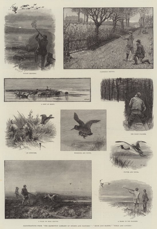 Illustrationer från Badminton Library of Sports and Pastimes, Moor and Marsh, Field and Covert av Charles Whymper