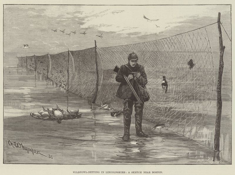 Wildfowl-Netting i Lincolnshire, en skiss nära Boston av Charles Whymper