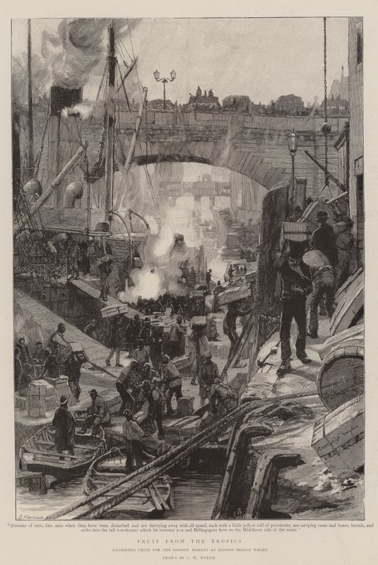 Frukt från tropikerna av Charles William Wyllie