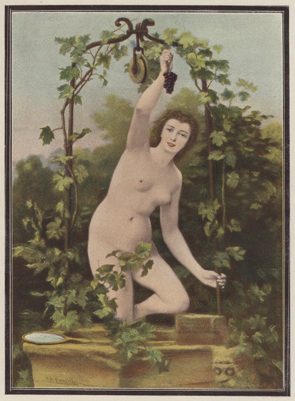 Kvinna som plockar druvor från en vinstock (färg litho) av Charles (after) Landelle