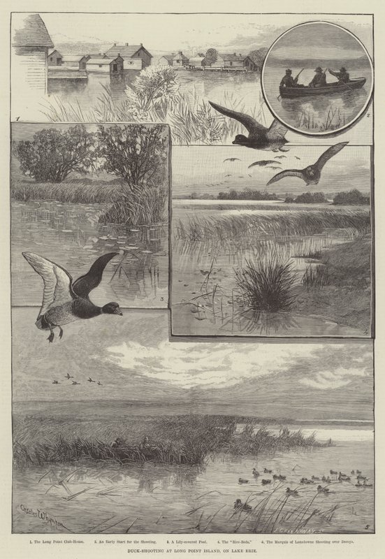Duck-Shooting på Long Point Island, vid Lake Erie (gravyr) av Charles (after) Whymper