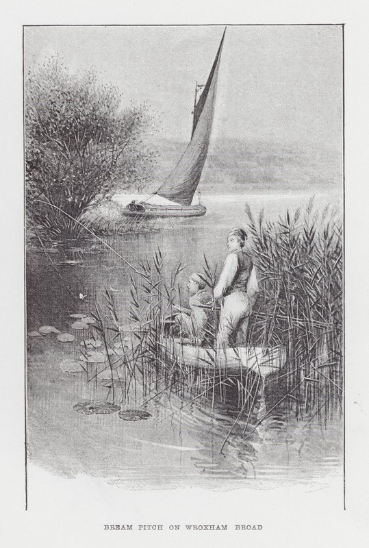 Fiske: Braxen Pitch på Wroxham Broad (litho) av Charles (after) Whymper