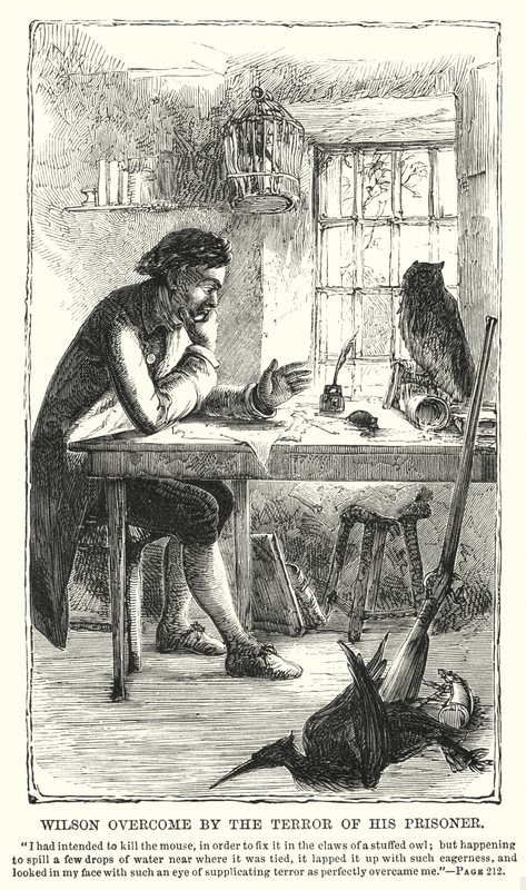 Wilson överväldigad av skräcken från sin fånge (gravyr) av Charles Altamont Doyle
