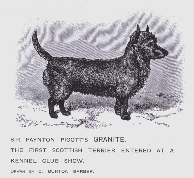 Sir Paynton Pigotts granit (litho) av Charles Burton (after) Barber