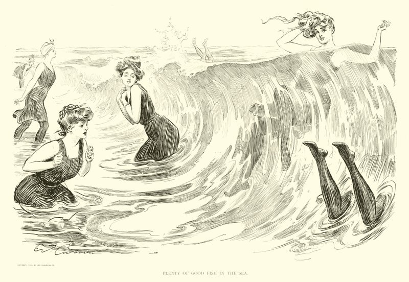 Illustration för The Social Ladder (gravyr) av Charles Dana Gibson
