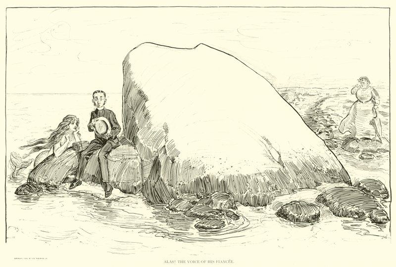 Illustration för The Social Ladder av Charles Dana Gibson