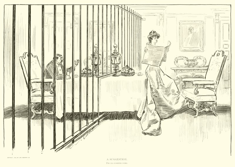 Illustration för The Social Ladder av Charles Dana Gibson