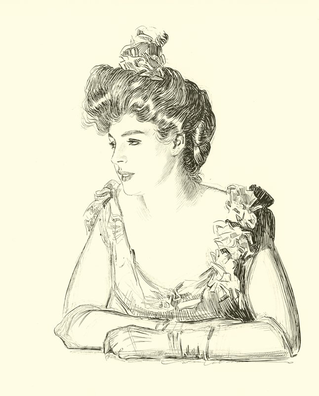 Illustration för The Social Ladder av Charles Dana Gibson