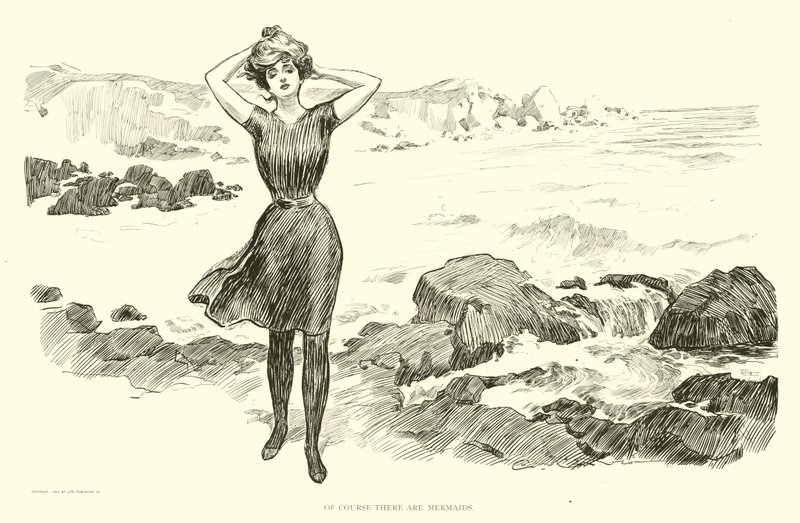Illustration för The Social Ladder av Charles Dana Gibson