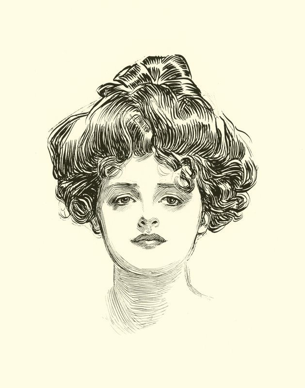 Illustration för The Social Ladder av Charles Dana Gibson