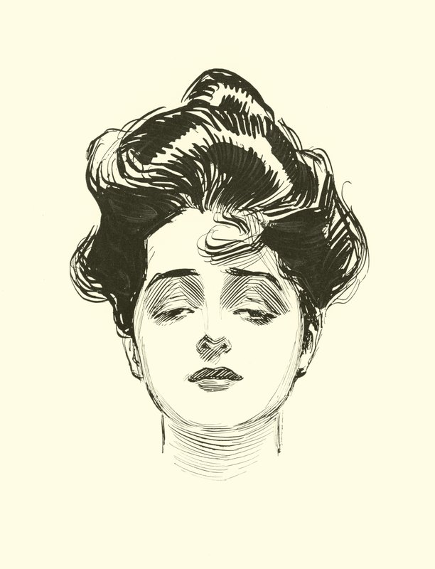 Illustration för The Social Ladder av Charles Dana Gibson