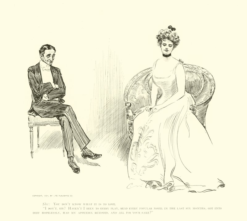 Illustration för The Social Ladder av Charles Dana Gibson