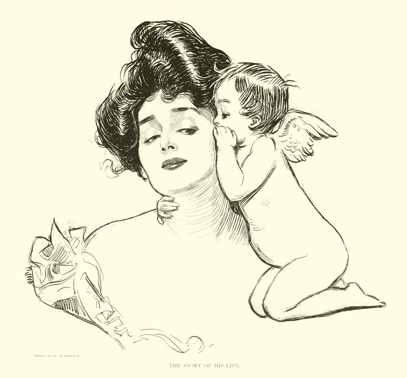Illustration för The Social Ladder av Charles Dana Gibson