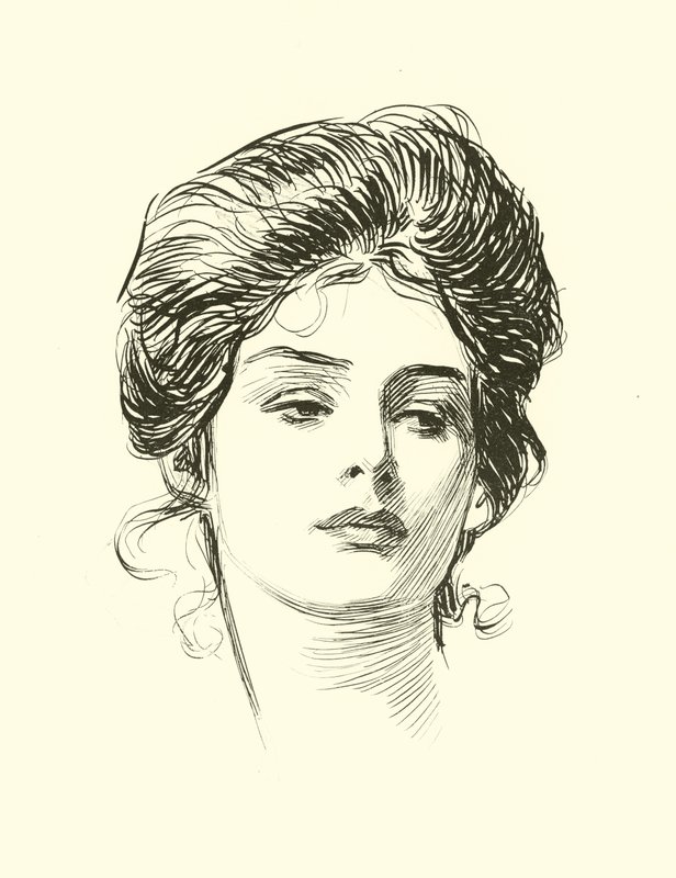 Illustration för The Social Ladder av Charles Dana Gibson