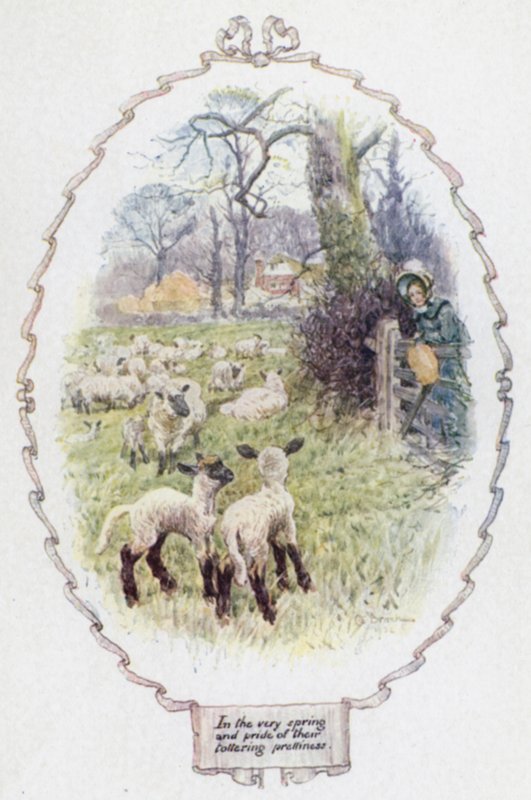 På våren och stoltheten över sin vacklande skönhet (färg litho) av Charles Edmund Brock