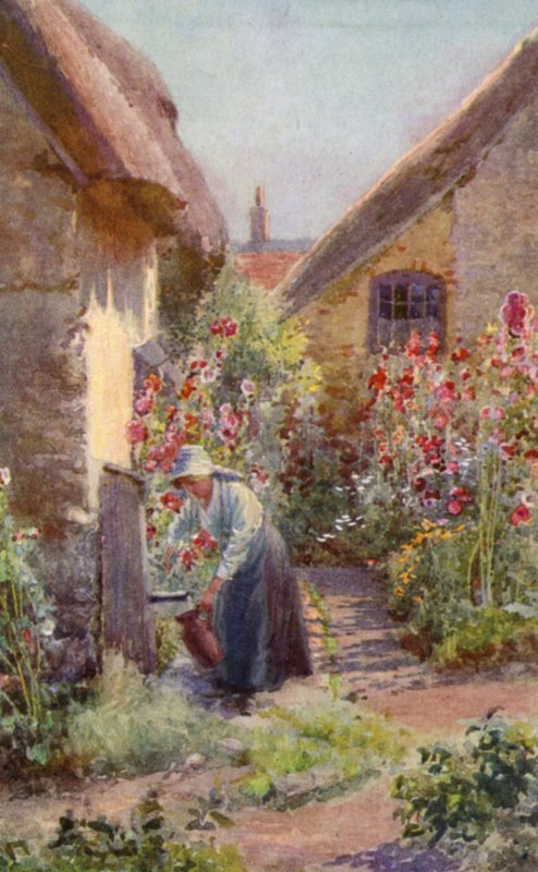 Hollyhocks in a Cottage Garden (färg litho) av Charles Edwin Flower