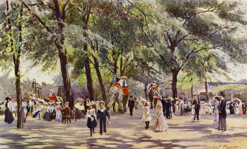 London Zoo: Broad Walk, med elefanter (färg litho) av Charles Edwin Flower