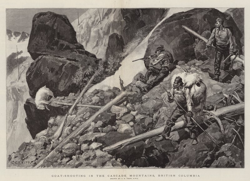 Getskytte i Cascade Mountains, British Columbia av Charles Edwin Fripp